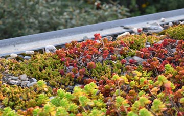 the cost of Scrooby green roof installation