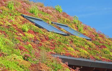 Scrooby living roof systems